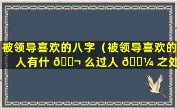 被领导喜欢的八字（被领导喜欢的人有什 🐬 么过人 🐼 之处）